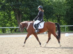 IMG_0977_web